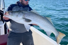 Cambo-Fishing-Charters-Striped-Bass-Fish-1