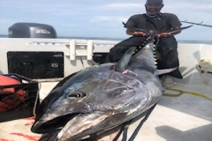 Cambo-Fishing-Charters-Tuna-test