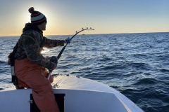 Cape-Code-Tuna-Charters-Cambo-Fishing-Charters-scaled