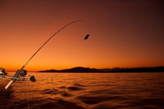 Fishing-Charter-scaled