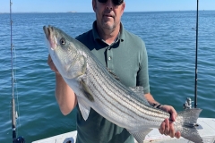 Plymouth-Fishing-Charters-Striped-Bass