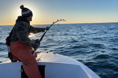 Tuna-Fishing-Cambo-Fishing-Charters