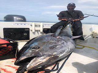 Cambo Fishing Charters Tuna test